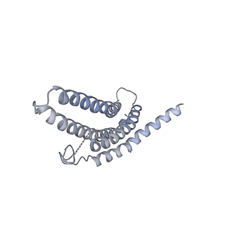 9257_6muv_n_v1-4
The structure of the Plasmodium falciparum 20S proteasome in complex with two PA28 activators