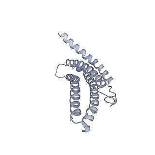 9257_6muv_o_v1-3
The structure of the Plasmodium falciparum 20S proteasome in complex with two PA28 activators