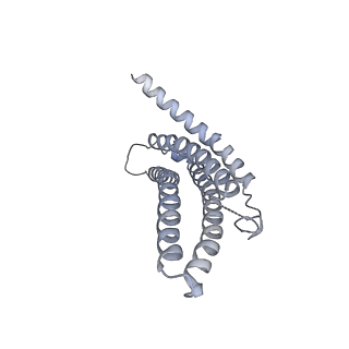 9257_6muv_o_v1-4
The structure of the Plasmodium falciparum 20S proteasome in complex with two PA28 activators