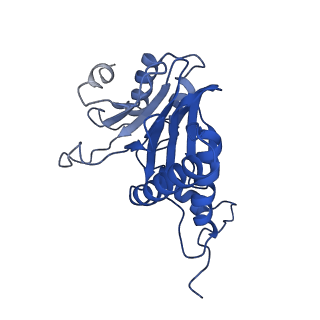 9258_6muw_B_v1-5
The structure of the Plasmodium falciparum 20S proteasome.