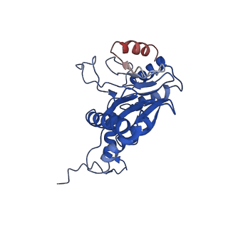 9258_6muw_C_v1-4
The structure of the Plasmodium falciparum 20S proteasome.