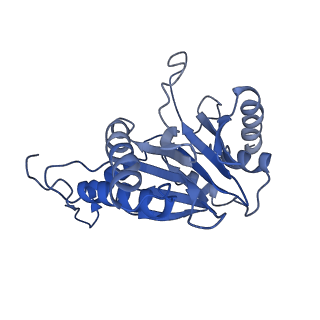 9258_6muw_D_v1-5
The structure of the Plasmodium falciparum 20S proteasome.