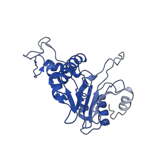 9258_6muw_E_v1-4
The structure of the Plasmodium falciparum 20S proteasome.