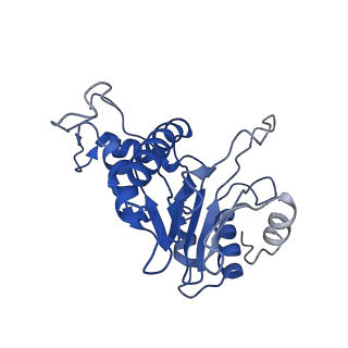 9258_6muw_E_v1-5
The structure of the Plasmodium falciparum 20S proteasome.