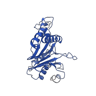 9258_6muw_F_v1-4
The structure of the Plasmodium falciparum 20S proteasome.