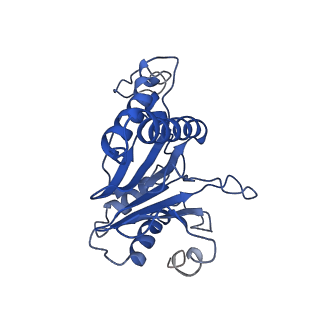 9258_6muw_F_v1-5
The structure of the Plasmodium falciparum 20S proteasome.