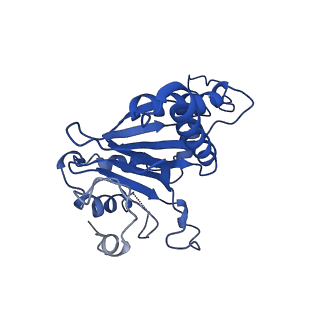 9258_6muw_G_v1-5
The structure of the Plasmodium falciparum 20S proteasome.