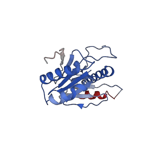 9258_6muw_H_v1-5
The structure of the Plasmodium falciparum 20S proteasome.