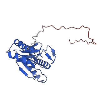 9258_6muw_I_v1-5
The structure of the Plasmodium falciparum 20S proteasome.