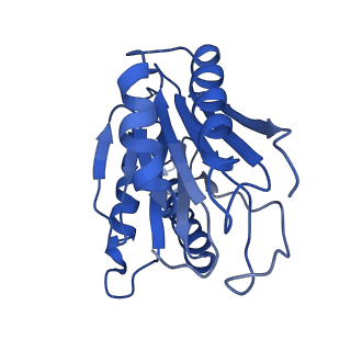 9258_6muw_J_v1-5
The structure of the Plasmodium falciparum 20S proteasome.