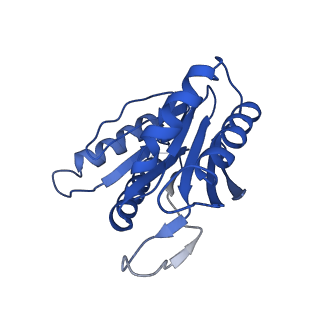 9258_6muw_K_v1-5
The structure of the Plasmodium falciparum 20S proteasome.