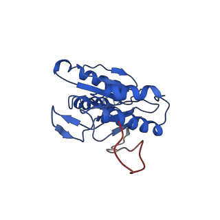 9258_6muw_L_v1-4
The structure of the Plasmodium falciparum 20S proteasome.