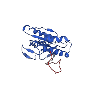 9258_6muw_L_v1-5
The structure of the Plasmodium falciparum 20S proteasome.