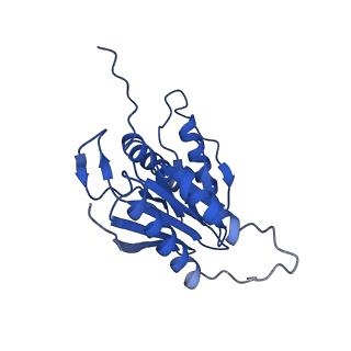 9258_6muw_M_v1-5
The structure of the Plasmodium falciparum 20S proteasome.