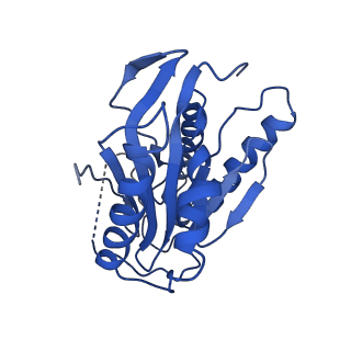 9258_6muw_N_v1-5
The structure of the Plasmodium falciparum 20S proteasome.