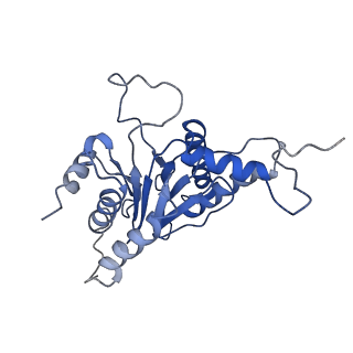 9258_6muw_O_v1-5
The structure of the Plasmodium falciparum 20S proteasome.