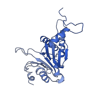 9258_6muw_P_v1-4
The structure of the Plasmodium falciparum 20S proteasome.