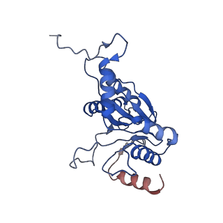 9258_6muw_Q_v1-4
The structure of the Plasmodium falciparum 20S proteasome.