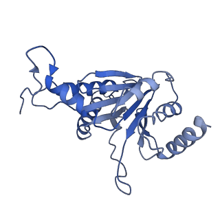 9258_6muw_R_v1-4
The structure of the Plasmodium falciparum 20S proteasome.