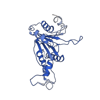 9258_6muw_T_v1-5
The structure of the Plasmodium falciparum 20S proteasome.