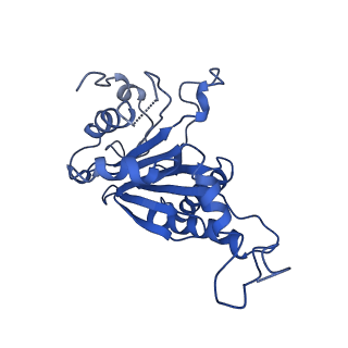 9258_6muw_U_v1-4
The structure of the Plasmodium falciparum 20S proteasome.