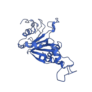 9258_6muw_U_v1-5
The structure of the Plasmodium falciparum 20S proteasome.