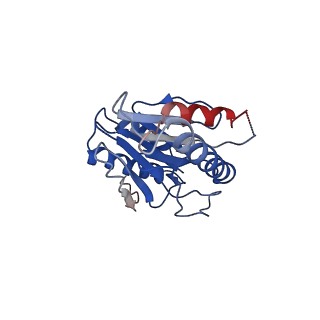 9258_6muw_V_v1-5
The structure of the Plasmodium falciparum 20S proteasome.