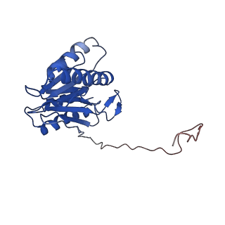 9258_6muw_W_v1-4
The structure of the Plasmodium falciparum 20S proteasome.