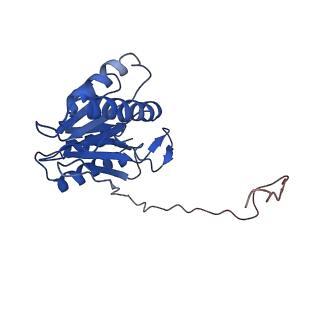 9258_6muw_W_v1-5
The structure of the Plasmodium falciparum 20S proteasome.