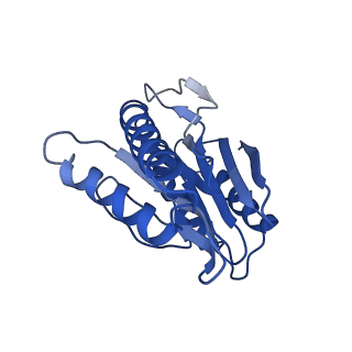 9258_6muw_Y_v1-5
The structure of the Plasmodium falciparum 20S proteasome.
