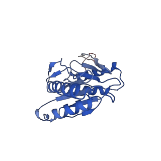 9258_6muw_Z_v1-5
The structure of the Plasmodium falciparum 20S proteasome.