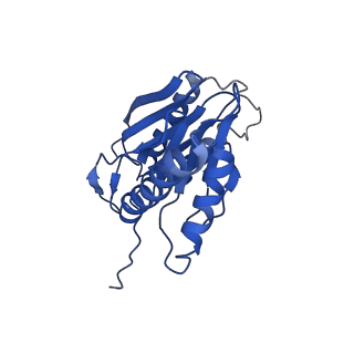 9258_6muw_a_v1-5
The structure of the Plasmodium falciparum 20S proteasome.