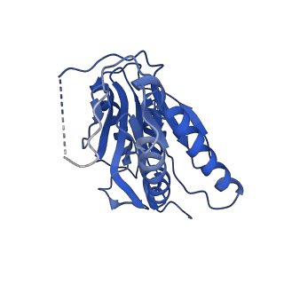 9258_6muw_b_v1-4
The structure of the Plasmodium falciparum 20S proteasome.