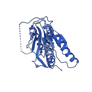 9258_6muw_b_v1-5
The structure of the Plasmodium falciparum 20S proteasome.