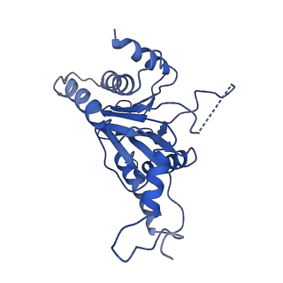 9259_6mux_A_v1-3
The structure of the Plasmodium falciparum 20S proteasome in complex with one PA28 activator