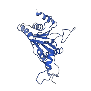 9259_6mux_A_v1-4
The structure of the Plasmodium falciparum 20S proteasome in complex with one PA28 activator