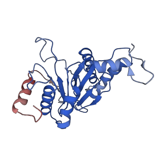 9259_6mux_C_v1-3
The structure of the Plasmodium falciparum 20S proteasome in complex with one PA28 activator