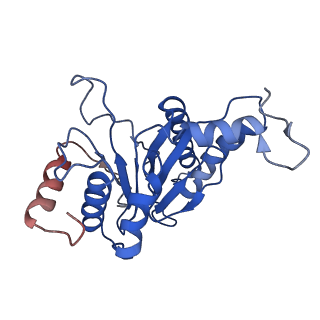 9259_6mux_C_v1-4
The structure of the Plasmodium falciparum 20S proteasome in complex with one PA28 activator