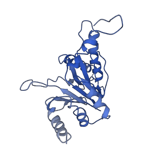 9259_6mux_D_v1-3
The structure of the Plasmodium falciparum 20S proteasome in complex with one PA28 activator