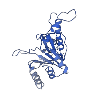 9259_6mux_D_v1-4
The structure of the Plasmodium falciparum 20S proteasome in complex with one PA28 activator