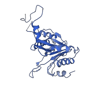 9259_6mux_E_v1-4
The structure of the Plasmodium falciparum 20S proteasome in complex with one PA28 activator