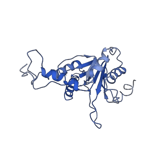 9259_6mux_F_v1-4
The structure of the Plasmodium falciparum 20S proteasome in complex with one PA28 activator