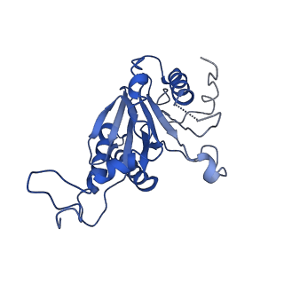 9259_6mux_G_v1-4
The structure of the Plasmodium falciparum 20S proteasome in complex with one PA28 activator