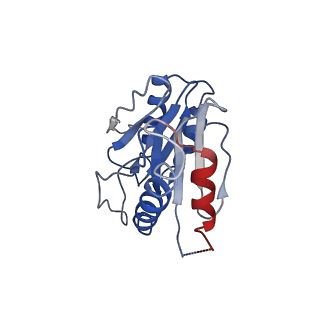 9259_6mux_H_v1-4
The structure of the Plasmodium falciparum 20S proteasome in complex with one PA28 activator