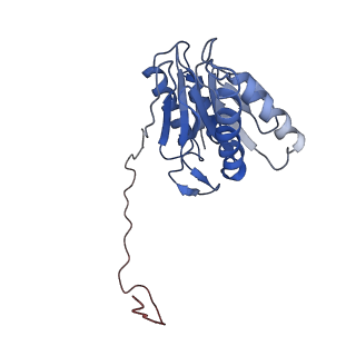 9259_6mux_I_v1-3
The structure of the Plasmodium falciparum 20S proteasome in complex with one PA28 activator