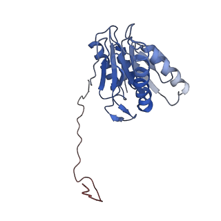 9259_6mux_I_v1-4
The structure of the Plasmodium falciparum 20S proteasome in complex with one PA28 activator