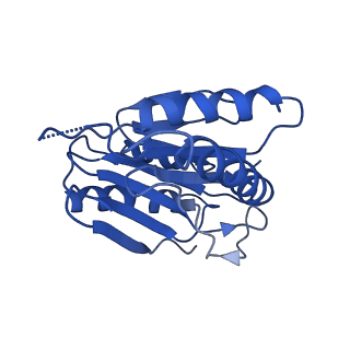 9259_6mux_J_v1-4
The structure of the Plasmodium falciparum 20S proteasome in complex with one PA28 activator