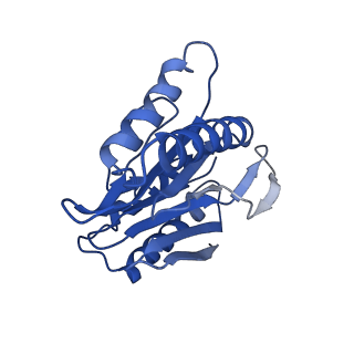 9259_6mux_K_v1-4
The structure of the Plasmodium falciparum 20S proteasome in complex with one PA28 activator