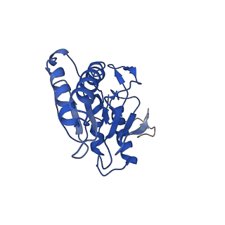 9259_6mux_L_v1-4
The structure of the Plasmodium falciparum 20S proteasome in complex with one PA28 activator