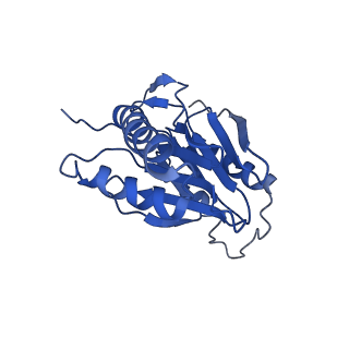 9259_6mux_M_v1-4
The structure of the Plasmodium falciparum 20S proteasome in complex with one PA28 activator